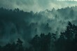 Foggy Forest Morning: A mysterious and atmospheric shot of a forest shrouded in early morning fog, creating a sense of tranquility.

