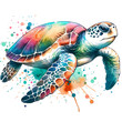 turtle Watercolor Clipart - Sea Animal Png