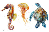 Fototapeta Dziecięca - Hand drawn watercolor Seahorse sea animals illustration on transparent background