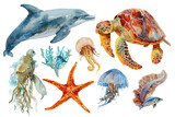 Fototapeta Dziecięca - Hand drawn watercolor sea animals illustration with octopus, ocean fish, turtle, whale, jellyfish, starfish on white background
