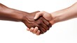 © Riffat - Unity in Diversity: A Symbolic Handshake Representing Harmony and Cooperation