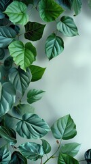 Poster - Beautiful greek leaves, clean empty background. Generative AI.