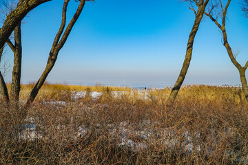 Wall Mural - Gulf of Finland in winter