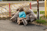Fototapeta Kwiaty - garbage bags on the street