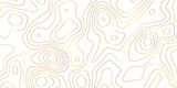Fototapeta  - abstract golden wave paper curved reliefs background. Topography map pattern, Geographic curved, vector illustration. seamless textrue, vintage waves. Panorama view multicolor wave curve line.