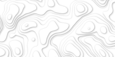 Abstract geometric layered curve line white background. 3d white papercut topography relief. Cover layout template. paper cut topography soft background banner texture. light liquid wave illustration.