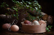 Eggs in the boil in straw with green ivy twigs on wooden background. Selective focus