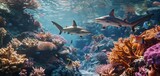 Fototapeta Do akwarium - Sharks swimming among coral formations in a reef environment