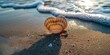 heart shaped sea shell in the sand on the beach. 