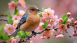 The common chaffinch or simply the chaffinch (Fringilla coelebs) is a common and widespread small passerine bird in the finch family