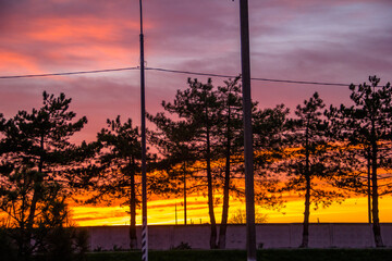 Beautiful sunset. silhouettes of trees against the background of a red sunset.