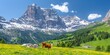 © Marin Zhu - Cute cow, milk and dairy producerConcept: agriculture, organic livestock farming, advertising of farm products