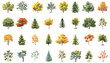 Cartoon forest plants collection. Bushes and trees symbols isolated on white, oak spruce pine aspen linden willow willow rowan