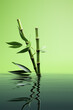 bamboo leaves on a green water background