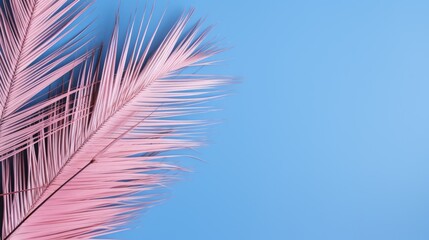 A palm tree with pink tropical leaves on a blue background with a place to copy text. The concept of recreation, tourism and sea travel.