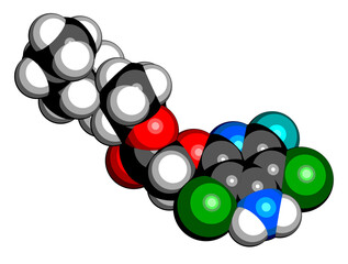 Canvas Print - Fluroxypyr herbicide molecule.