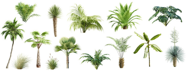 Poster - collection of diverse jungle plants isolated on white background. 3d render. 3d illustration.