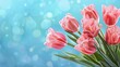 spring flowers banner bunch of pink tulip flowers on blue sky background