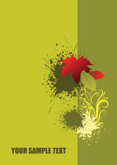 Cover for brochure with autumn red leaf. Color vector illustration