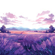 A fragrant lavender field illustration with rows of