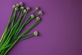 Fototapeta Lawenda - Bunch of Flowers on Purple Surface