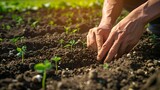 Fototapeta  - Hands nurturing young plants in fertile soil. gardening concept illustrating growth and eco-friendliness. vivid, close-up shot of sustainable living. AI