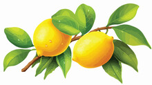 A Lemon Tree Branch With Two Yellow Lemons And Green