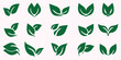 Green leaf icons set. Leaves icon on isolated background. Collection green leaf. Elements design for natural, eco, vegan, bio labels. Vector illustration EPS 10