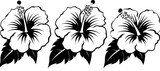 Fototapeta  - black and white flowers