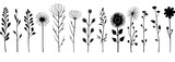 Fototapeta  - grass and flowers vector