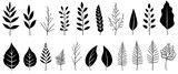 Fototapeta  - set of silhouettes of wheat