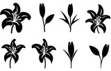 Fototapeta  - set of silhouettes of plants