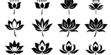 Fototapeta  - set of black and white tulips