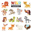 Set Of Various Wild Animals