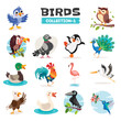 Set Of Various Cartoon Birds