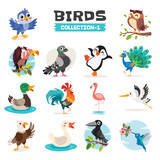 Fototapeta Pokój dzieciecy - Set Of Various Cartoon Birds