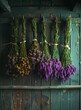 Bunches of lavender hanging on wooden wall