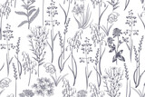 Fototapeta Kwiaty - Cereals, herbs and wildflowers. Simple floral seamless pattern.