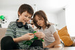© Westend61 - Boy teaching brother to make toy model at home
