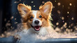 Close up of a happy cute dog taking bath with soap, foam and bubbles on its face