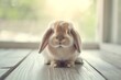 Adorable Brown Eared Rabbit Sitting on Wooden Surface