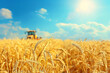 Wheat field and combine harvester. Harvesting concept.