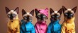 Siamese Cats in Stylish Raincoats Posing for Portrait