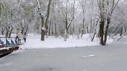 Wall Mural - Promenade in winter park. Snowfall in botanical garden. Cold winter scene of Topilche Park. Pedestrian bridge in Ternopil city park, Ukraine, Europe. 4K video (Ultra High Definition).