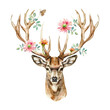 deer antler flower watercolor good quality and good design
