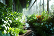 A greenhouse with lush green plants and vegetables cultivated.