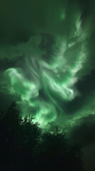 Wall Mural - northern lights aurora borealis lapland night landscape