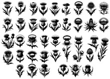 Stylised Single-Color Thistle Illustration Collection