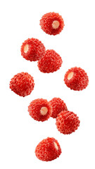 Wall Mural - falling wild strawberry isolated on white background, full depth of field