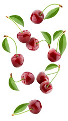Canvas Print - Falling cherry, isolated on white background, full depth of field